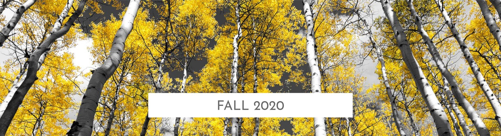 fall 2020 header