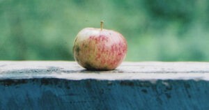 A Wilding Apple By John Timothy Robinson
