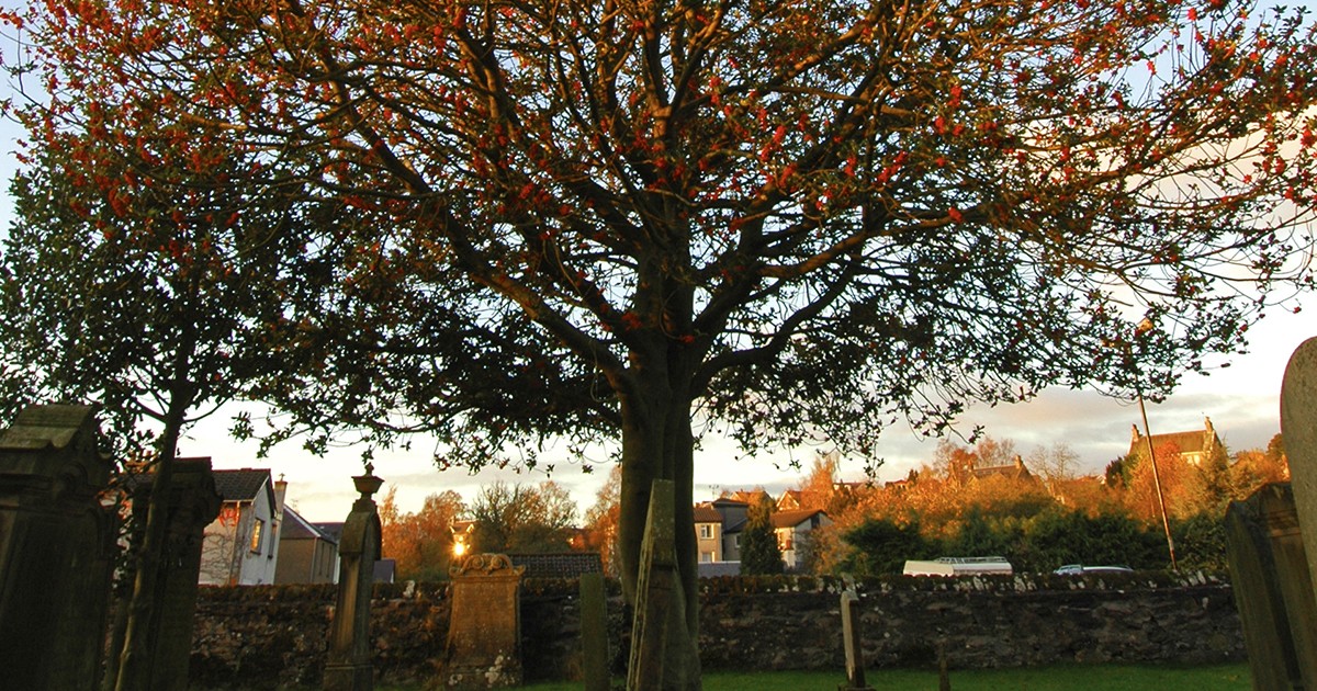 For the children of Dunblane, Scotland