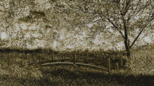 Bridge By Christopher Woods