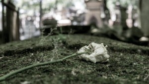 goodbye ro. By Walker Watson