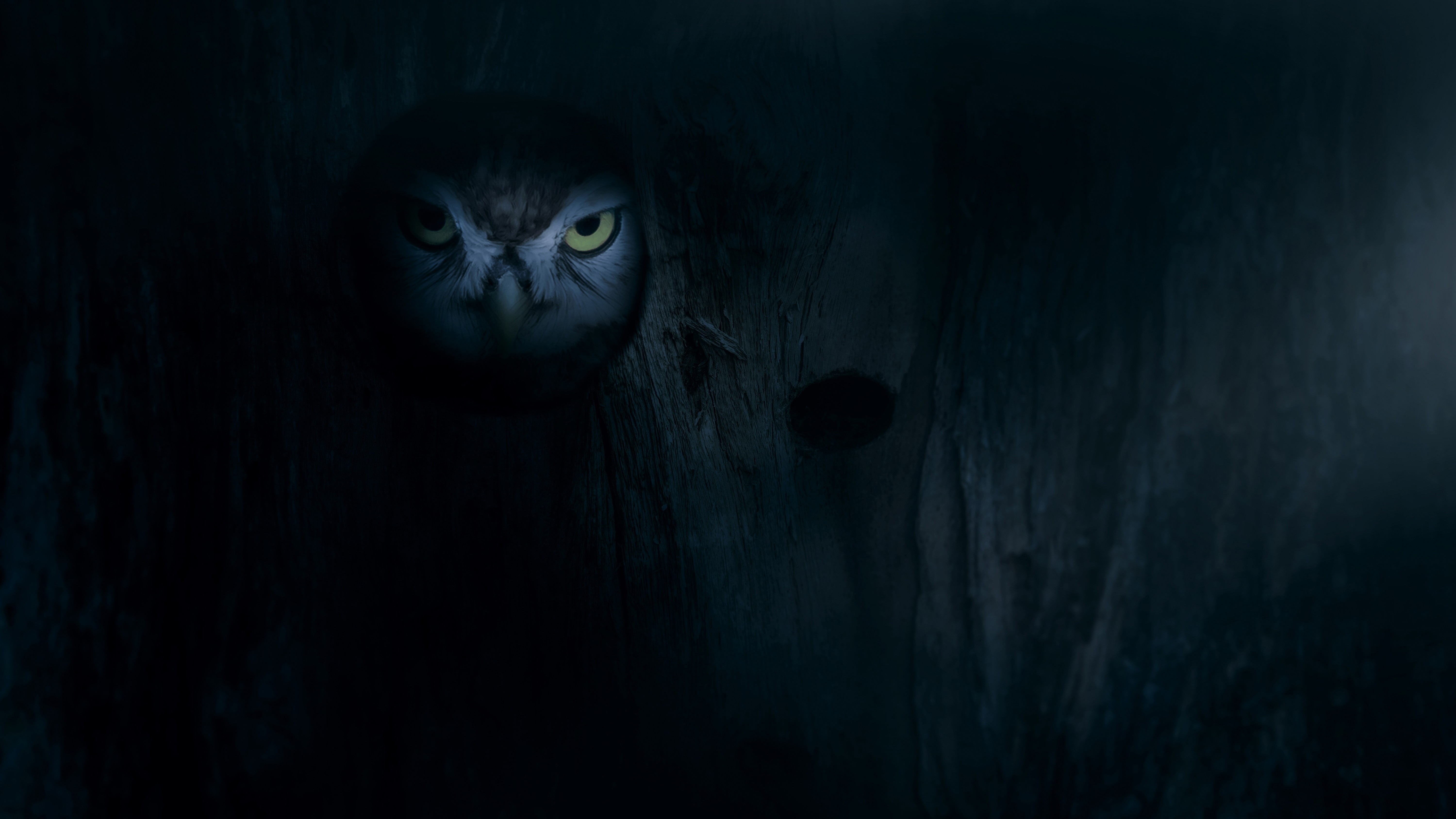 Inherit the Moon’s Awkward Glances