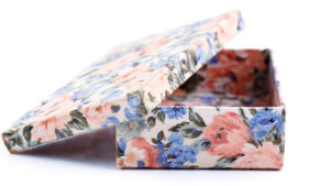 Why Do Some Birds Fly? By Leah Spellman Berger