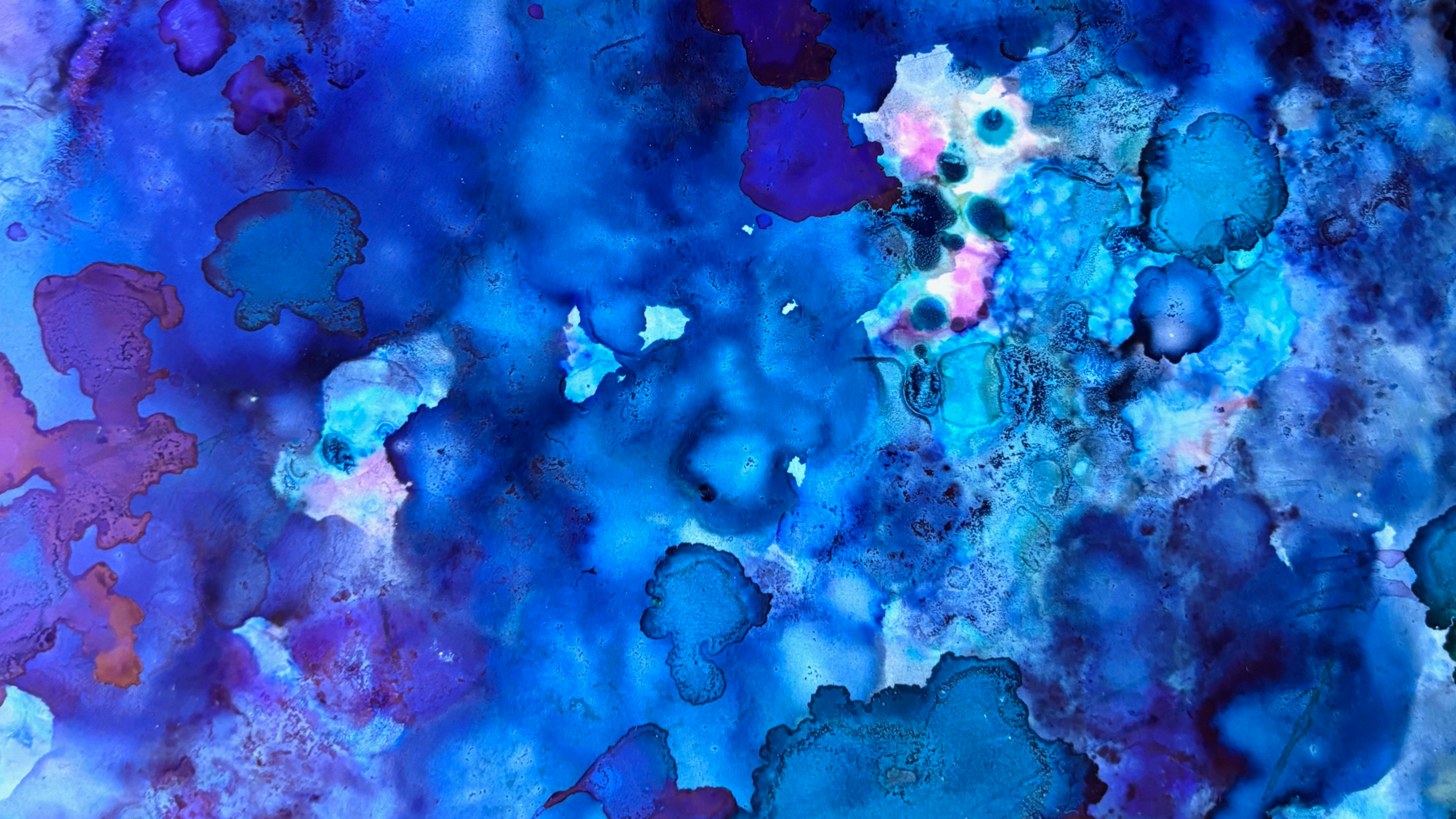 Cypress 6 By Cynthia Yatchman