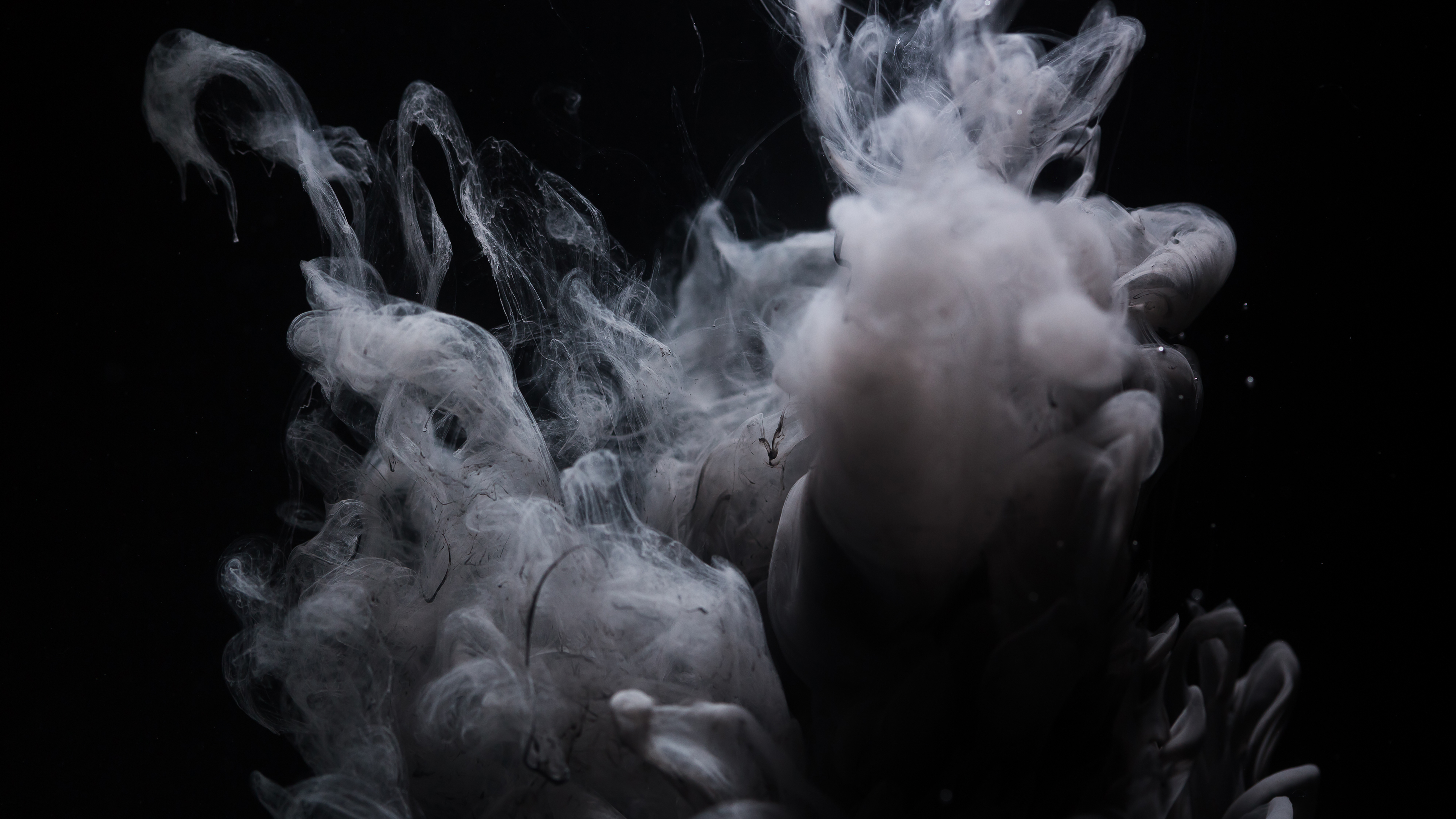 Each Day Memories Make Us Ask the Same Questions By Cecil Morris