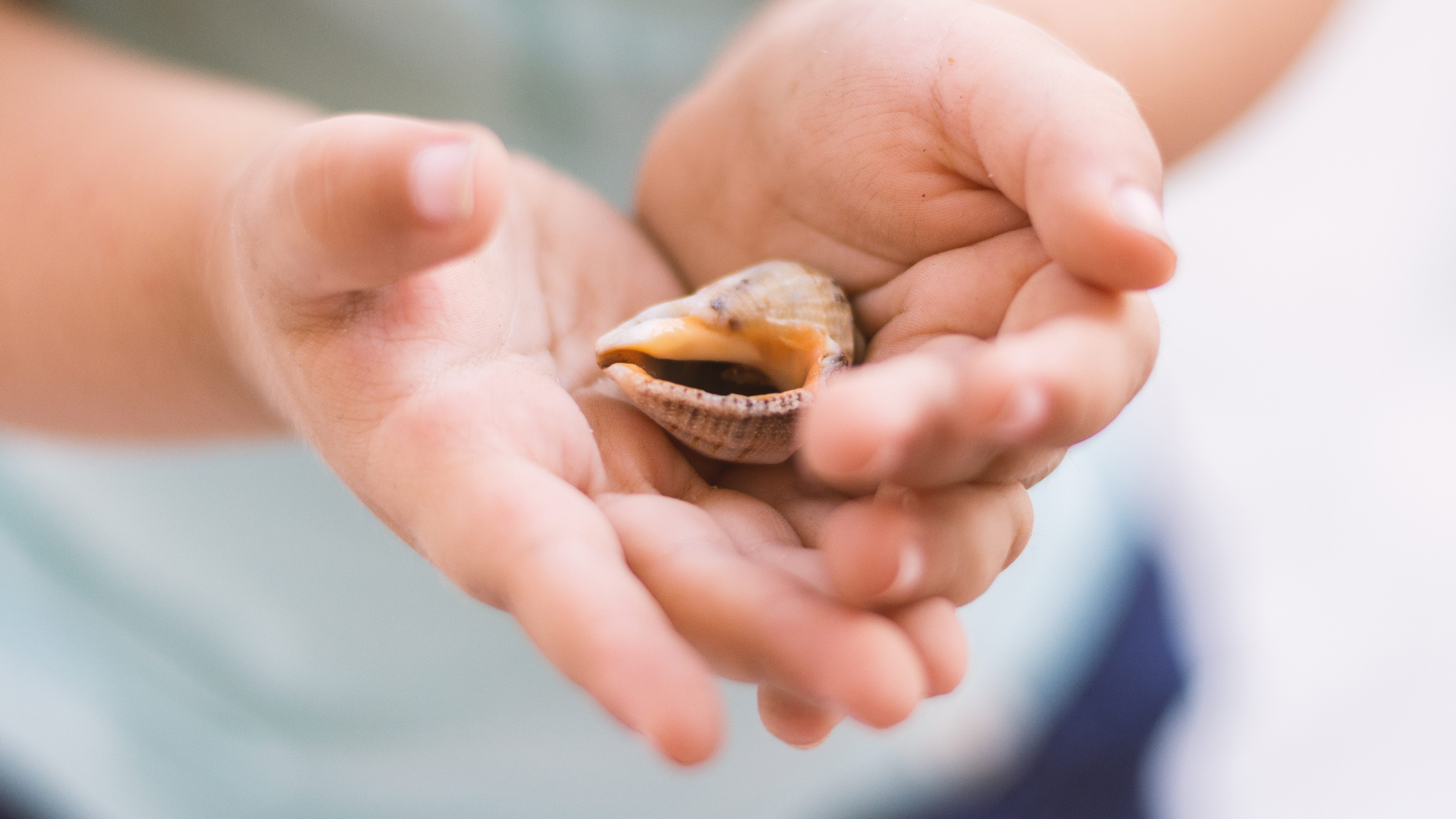 A Departed Multitude By Hannah Paige