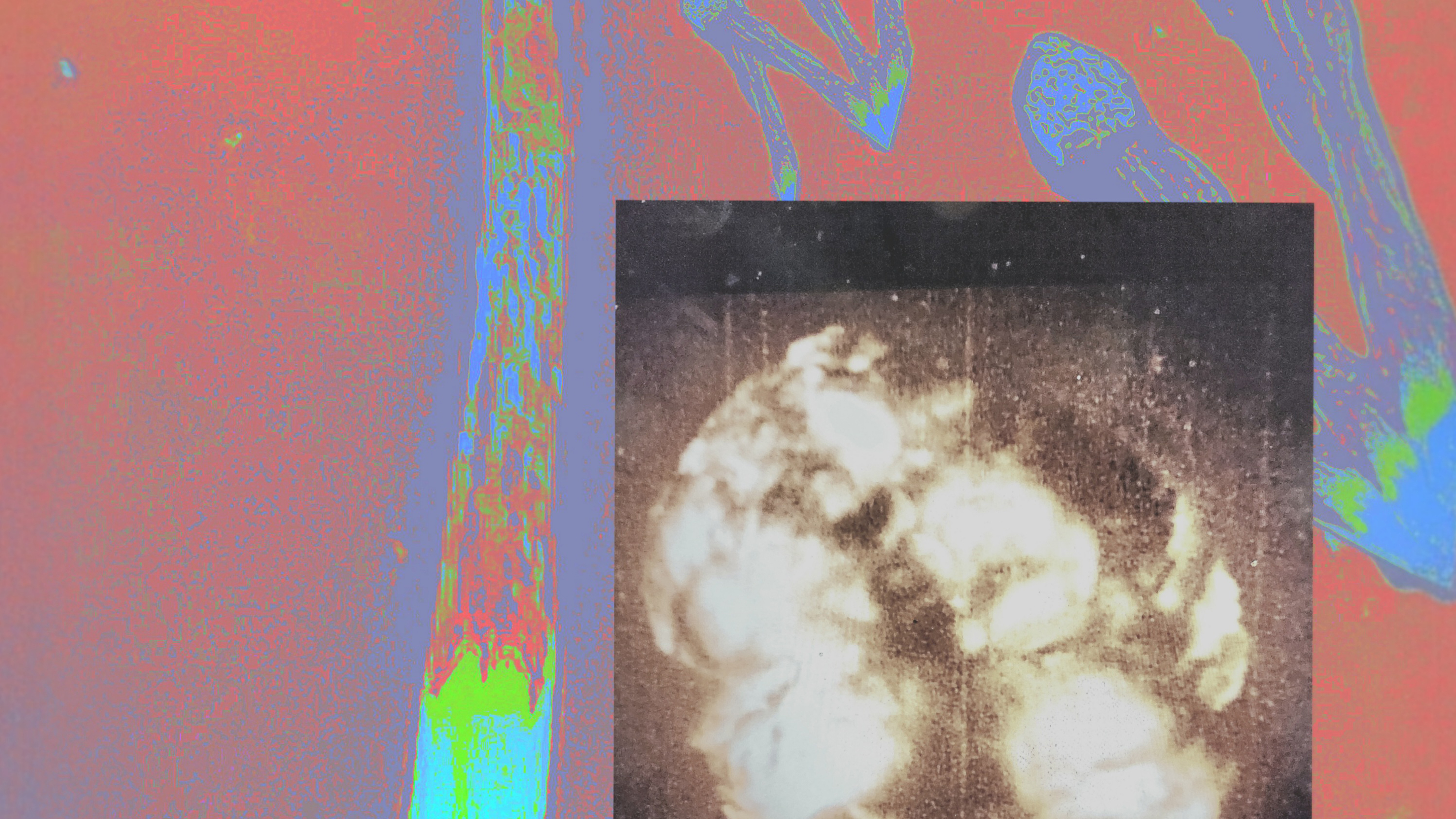 Disembodiments By Tony Brinkley