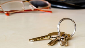 Accidental Collection By Angela Berkley