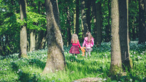 Best Friend’s Funeral By Catherine Rossi