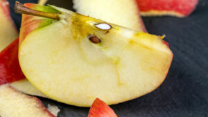 Palliative Care By Lisa López Smith