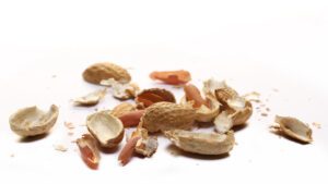 Peanut-Shell Splinters By Hibah Shabkhez