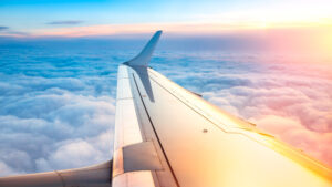 When a stranger on the plane asks if I have a son By Sylvia Freeman