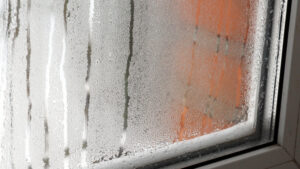 Mustang By John Pring