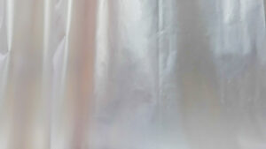 The Shower Curtain Between Life and Death By John Janelle Backman